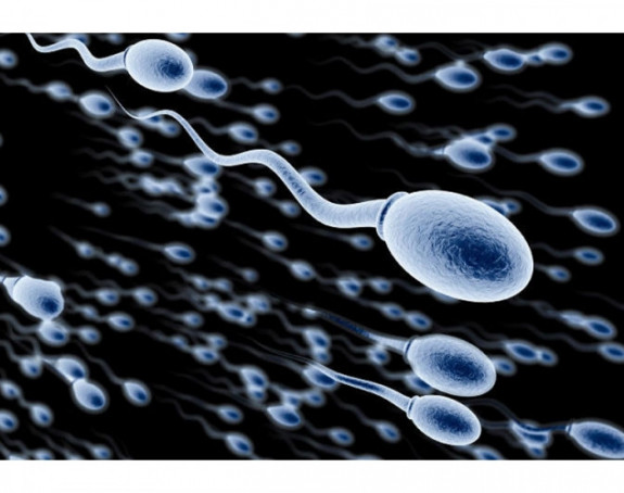 Naučnici napravili spermu u laboratoriji