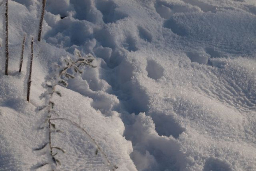 Srbija: Prva žrtva ledenog talasa