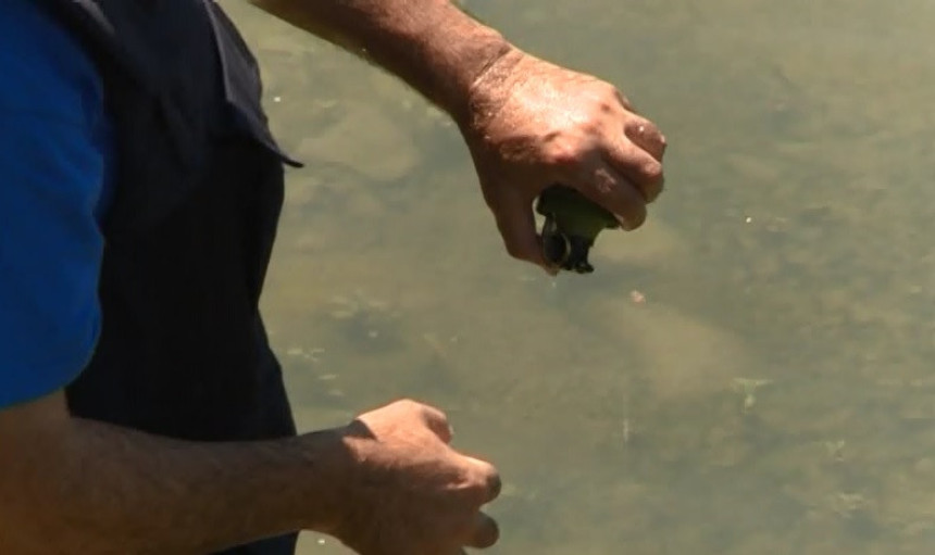 Iz Drine izvađeno 17 od 20 ručnih bombi