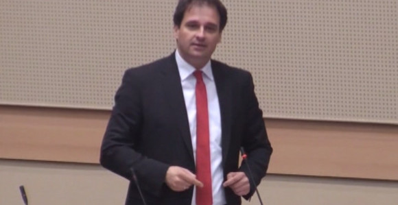 Deklaraciju pisale mudre srpske glave!