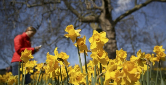 Danas sunčano i toplije u BiH  