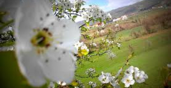 Danas znatno toplije vrijeme