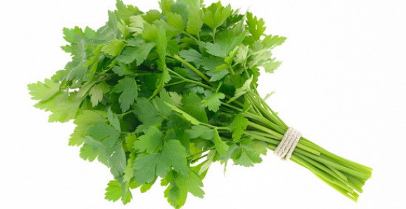 Peršun ispira bakterije iz organizma