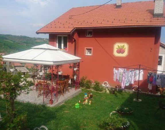 Ovakvu kuću u Srbiji niko nema!