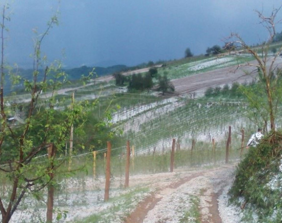Ivanjica: Grad veličine graška