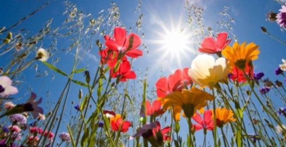 U Srpskoj danas sunčano i toplo 