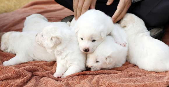 Траже се радници: Плата 2.500 евра