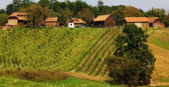 Hit: Daju pare da kupite kuću