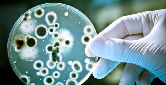 Prijeti nam šest opasnih epidemija koje su već aktivne