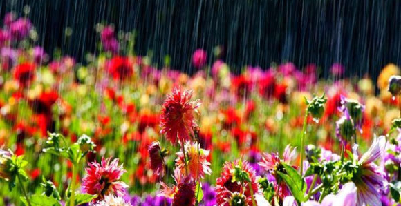 Poslije podne kiša i grmljavina  