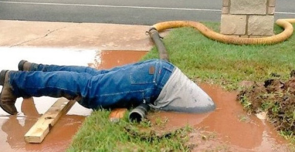 Marljiv: Da li je ovo radnik godine?