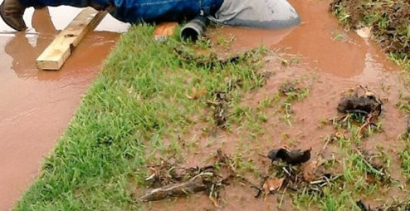 Da li je ovo radnik godine?