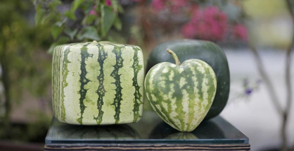 Vjerovali ili ne, ove tvrdnje nisu mitovi