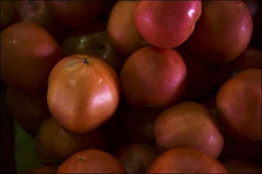 Rusija: Zaražene jabuke iz Srbije