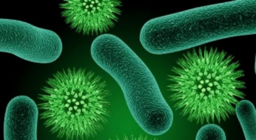 Пронађен лијек против бактерија отпорних на антибиотике?
