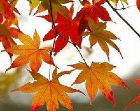 Претежно облачно вријеме