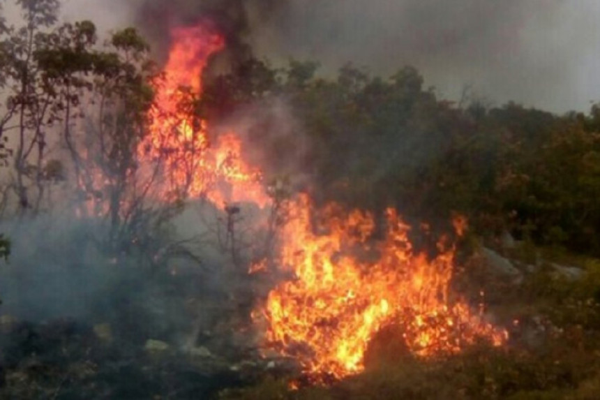 Пожар на Биочу, куће нису угрожене