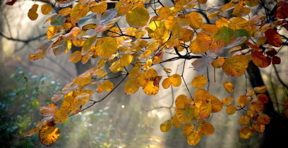 Danas svježe i uz sunčane periode