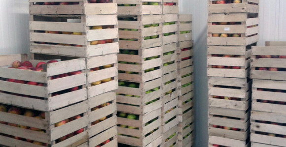 Znate li koje voće Rusi najviše traže od nas?