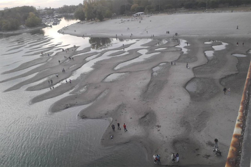 Nizak nivo Dunava blokirao brodove