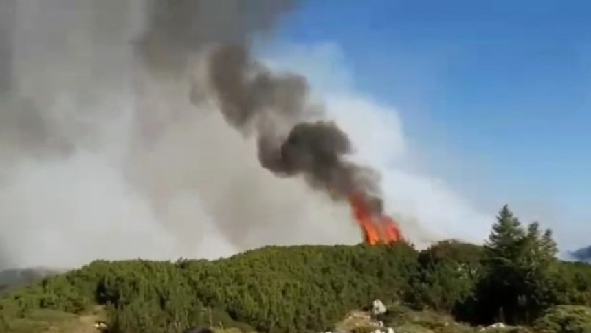 Veliki požar na planini Treskavici