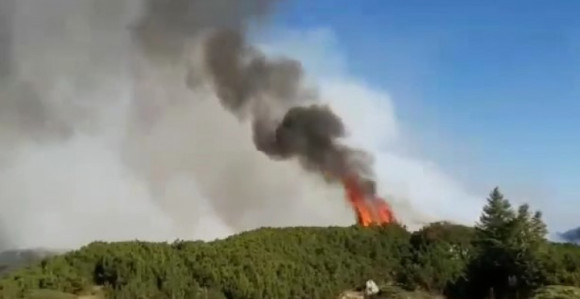 Veliki požar na planini Treskavici
