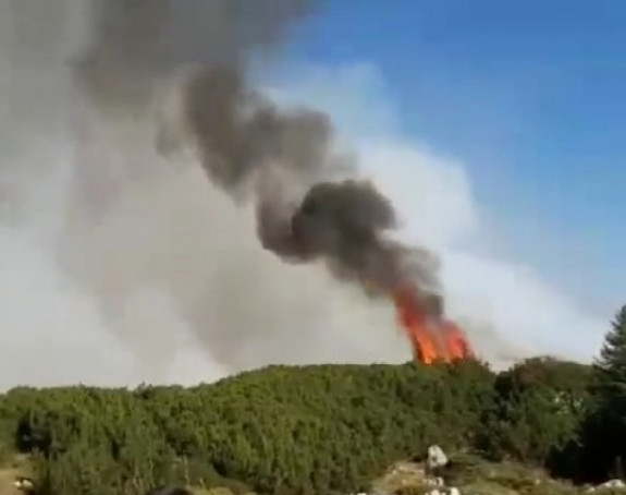 Veliki požar na planini Treskavici
