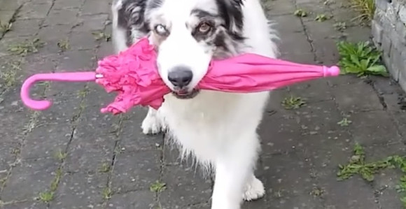 Danas oblačno, uveče kiša i pljuskovi