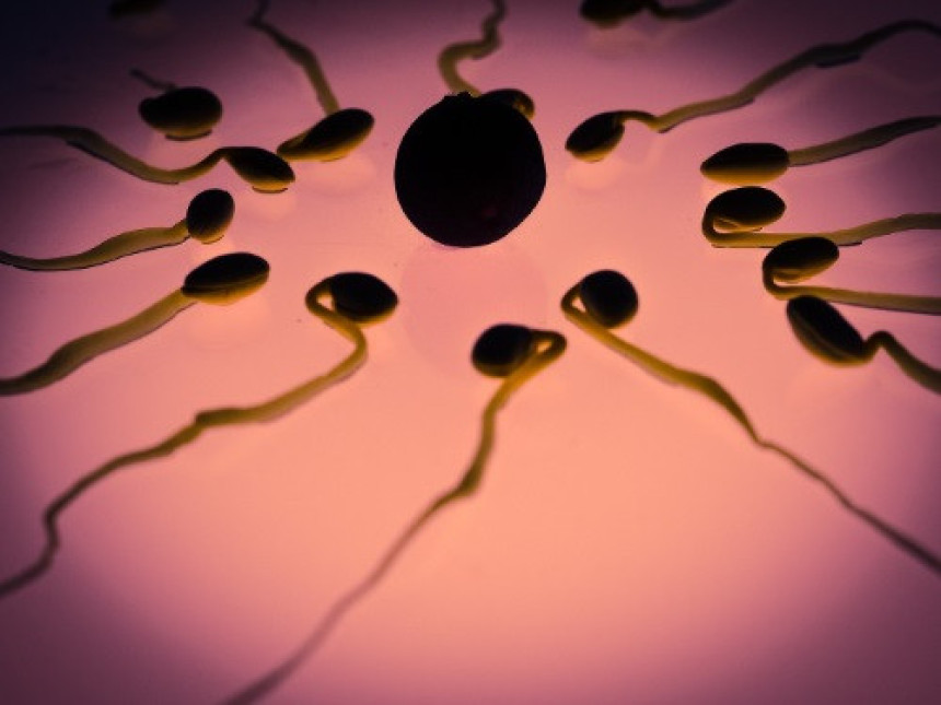 'Старом' спермом оплодили 26 жена?
