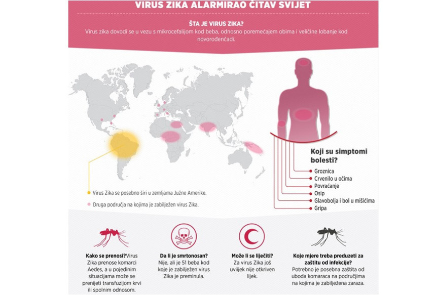 SZO hitno zasjeda zbog virusa "zika"
