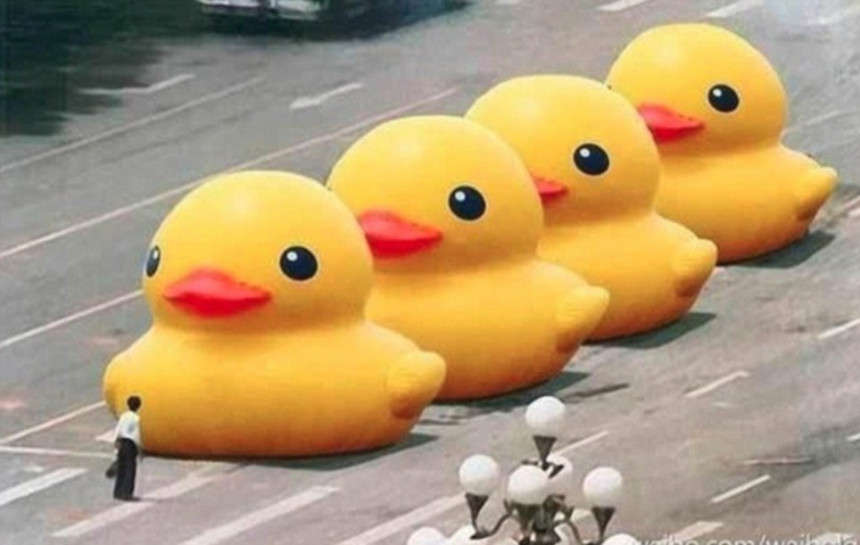 Naša stvarnost: Žute patke...