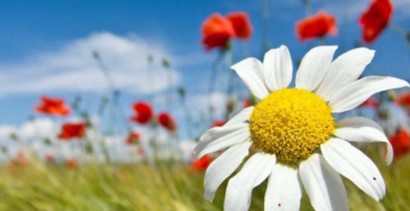 Preovladaće sunčano vrijeme