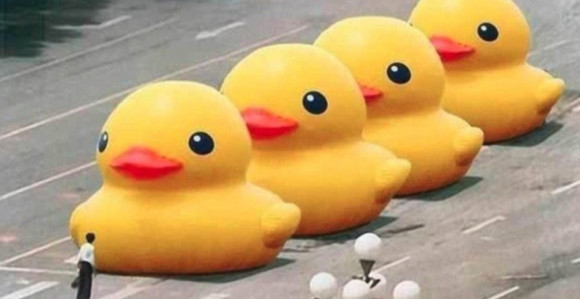 Naša stvarnost: Žute patke...