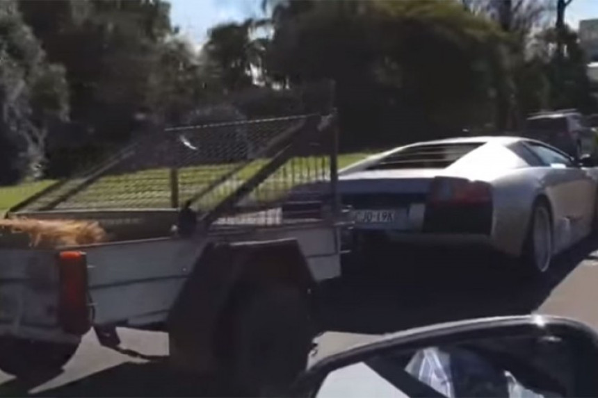 Lamborghini sa prikolicom jarića 