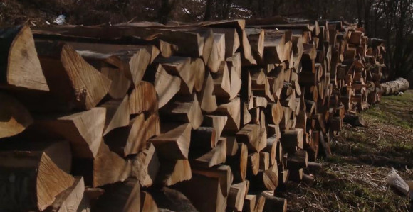 Za krađu drva okrivili magarca