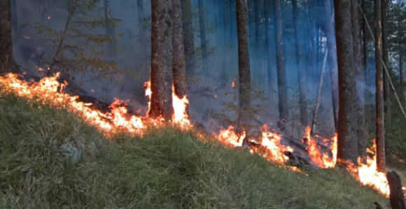 Požar u Konjicu pod kontrolom