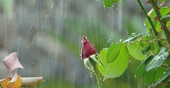 U BiH svježije i kišovito vrijeme 