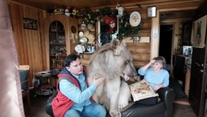 Žive sa medvjedom od 140 kilograma