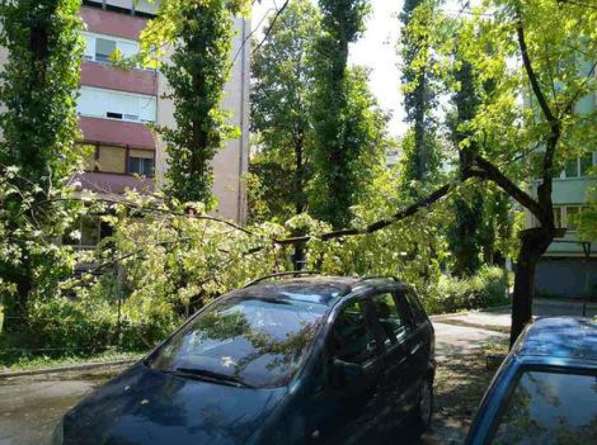 Novi Sad:Poginula žena u nevremenu