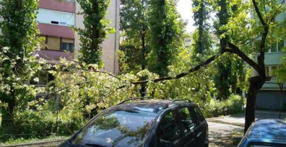 Novi Sad:Poginula žena u nevremenu