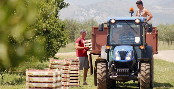 Nema radnika, a dnevnica 35 evra