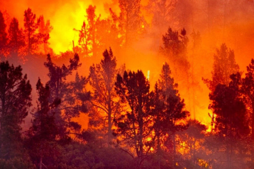 Kalifornija: Pet osoba poginulo