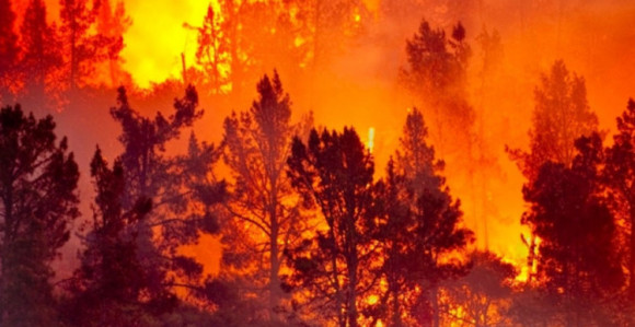 Kalifornija: Pet osoba poginulo