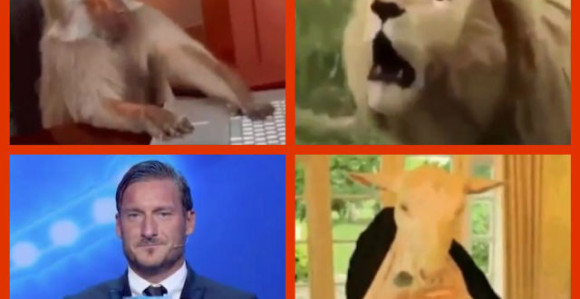 Majmun, lav i jarac dočekali, Toti potvrdio!