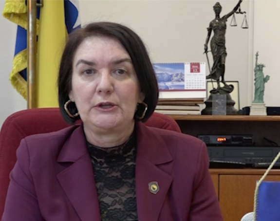 Gordana Tadić protiv Mektića