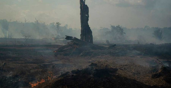 Šteta od požara u Amazoniji se ne može popraviti