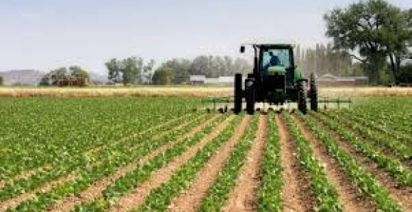 Nije usvojena ruralna strategija 