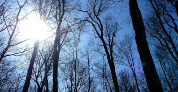 U Srpskoj toplo uz sunčane periode