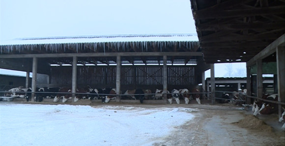 Zabrinuti stočari širom Semberije