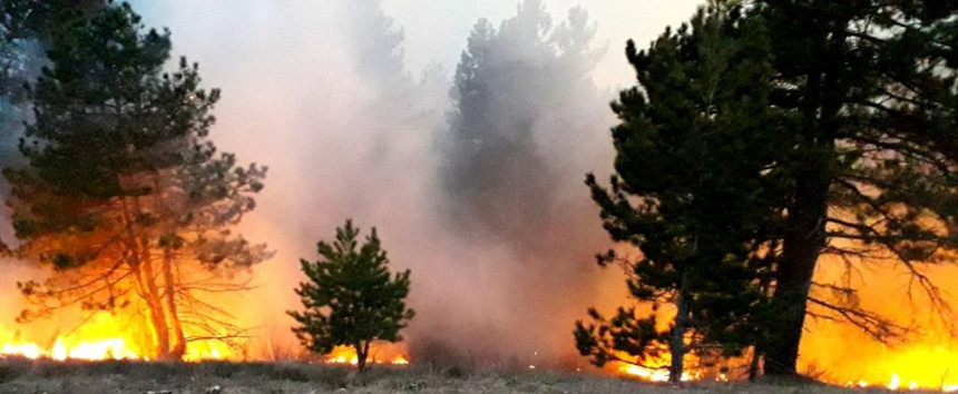 Četiri požara u Hercegovini